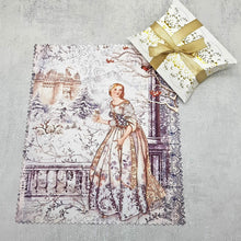 Load image into Gallery viewer, Princess in the winter castle soft cloth for eyeglasses, lens, spectacles, screens, Christmas stocking filler, small gift
